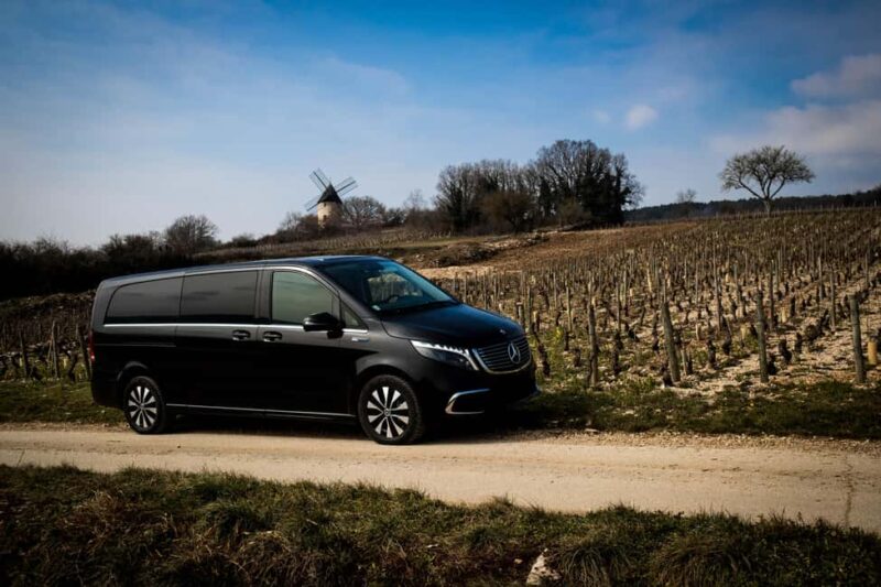 Côte de Nuits: Excursion in the heart of the vineyards - Limitations and Considerations