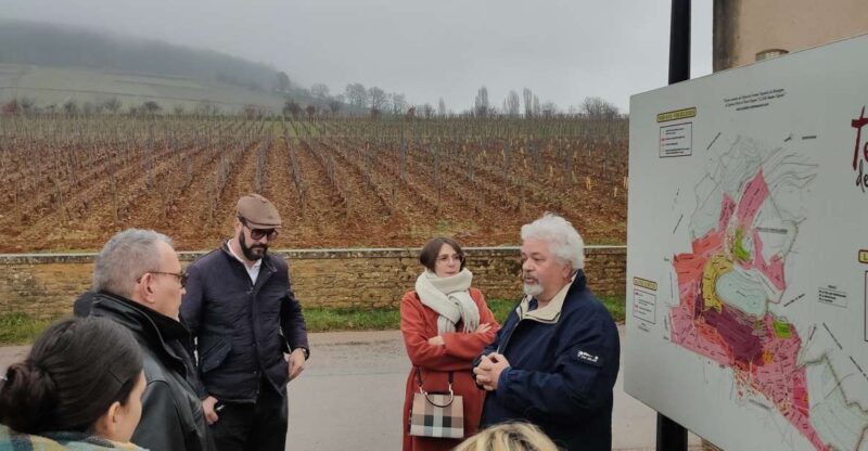 Côte de Nuits Private Local Wineries and Wine Tasting Tour - Drive Along the Famed Route des Grand Crus