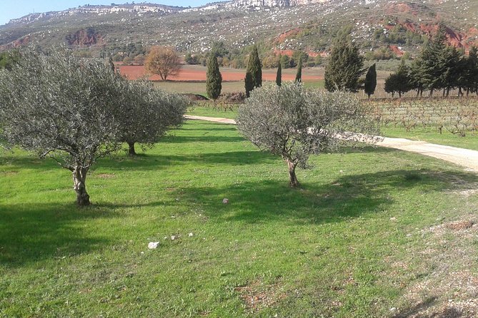 Cotes de Provence Wine Tour from Aix-en-Provence - Key Points
