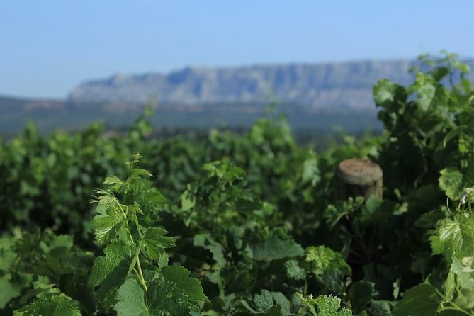 Cotes de Provence Wine Tour from Aix-en-Provence - Visiting Mas de Cadenet: Traditional Charm and Tasting Excellence