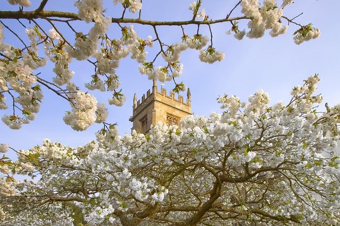 Cotswolds Small Group Tour from London - Transport, Guides, and Comfort on the Small Group Vehicle