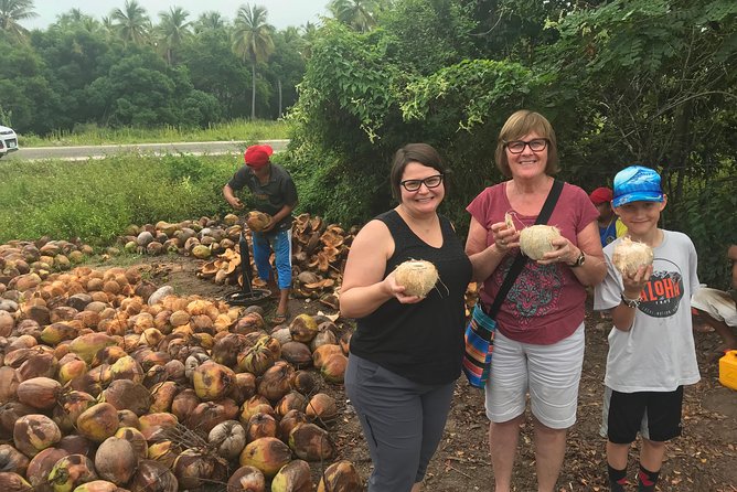 Country Side tour - Accessibility and Physical Requirements