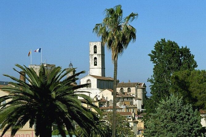 Countryside and Wine Tasting Full-day tour from Cannes - Logistics: How the Tour Operates