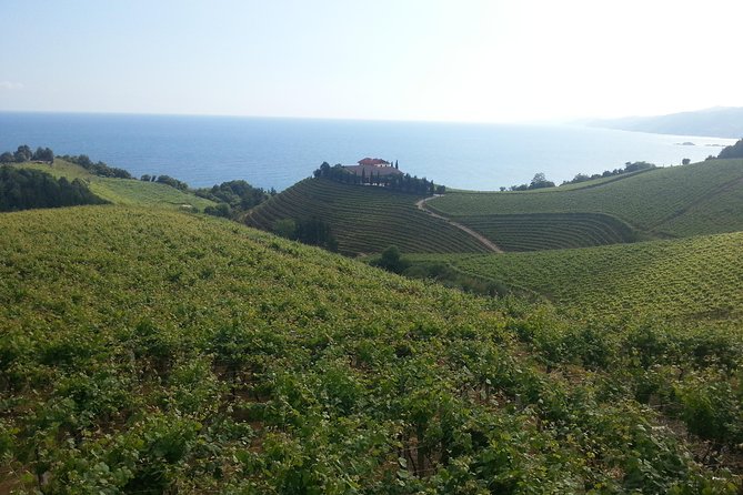 Countryside & Coast Private tour - Scenic Drive to Getaria and its Famous Fishing Port