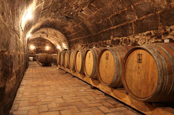 Countryside Half-day Wine Tour near Budapest with Meal and Pickup - Explore Hungary’s Wine Region Near Budapest at an Affordable Price