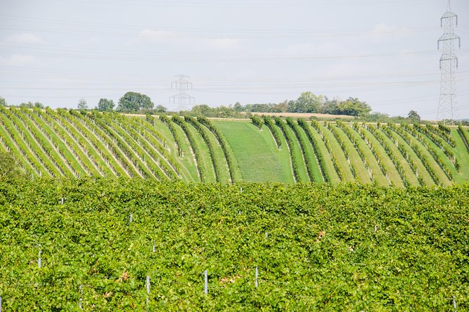 Countryside Half Day Wine Tour near Vienna - Transportation and Group Size for a Personalized Experience