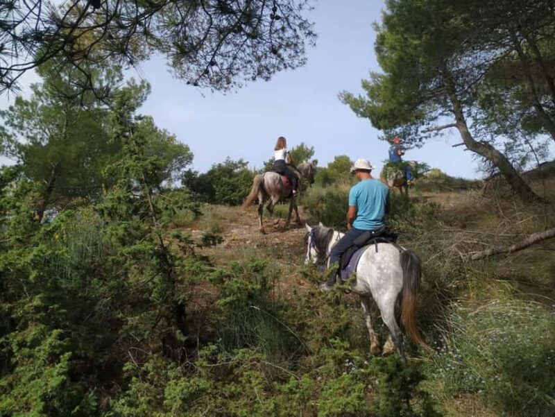 Countryside Horseback Ride in Gjinofshat - Starting Point in Gjinofshat: Easy Access from Tirana