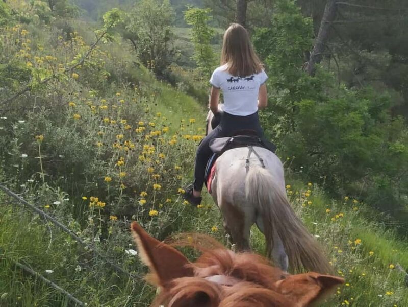 Countryside Horseback Ride in Gjinofshat - Visit to the 6th-century Orthodox Church in Labova of the Cross