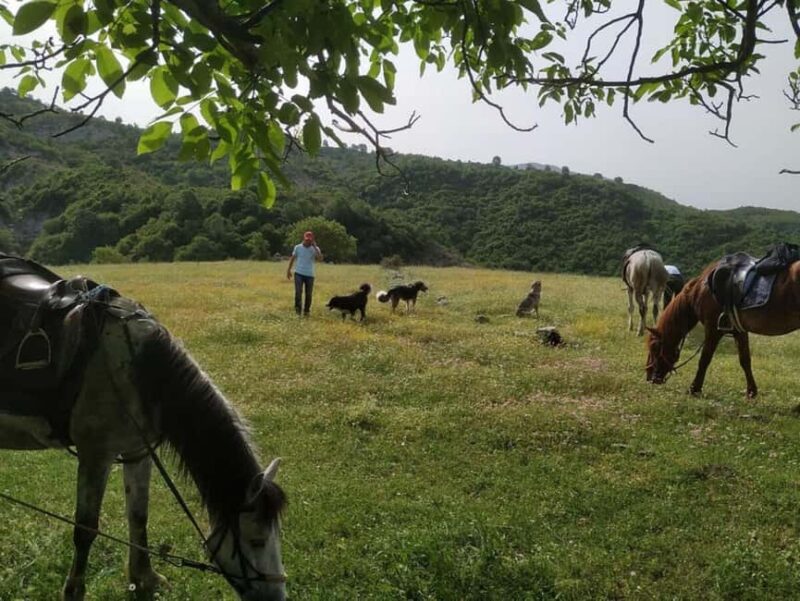 Countryside Horseback Ride in Gjinofshat - Swimming in Suha River and the Waterfall at Selcka