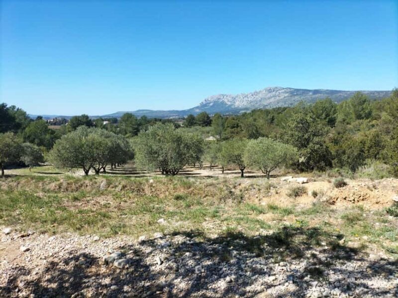 Countryside Immersion with Horseback Ride in Sainte Victoire - Flexibility and Booking Options