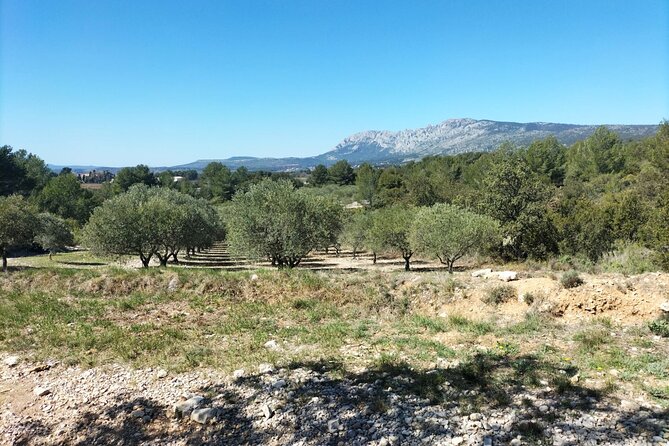 Countryside Immersion With Horseback Riding in Sainte Victoire - The Strengths and Considerations of This Provence Tour