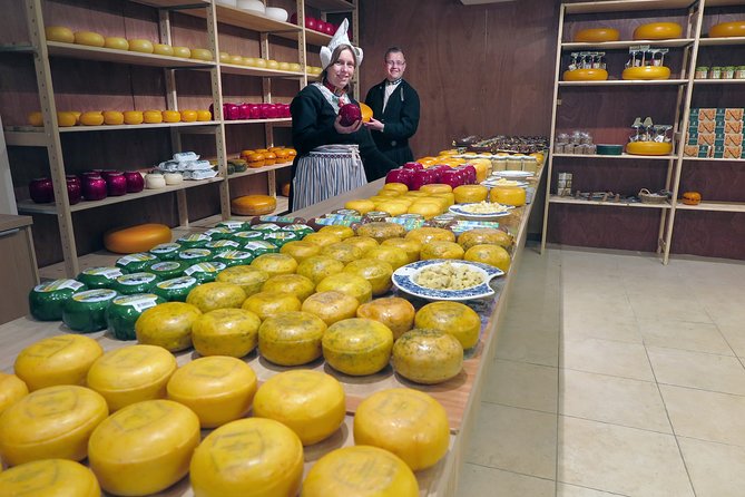 Countryside of Amsterdam Private tour - Physical Demands and Accessibility