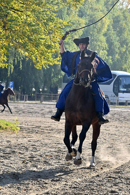 Countryside ranch, horse show & lunch - Traditional Hungarian Goulash and Local Spirits