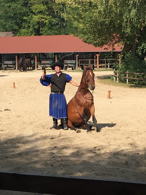 Countryside ranch, horse show & lunch - Who Will Enjoy This Tour Most?