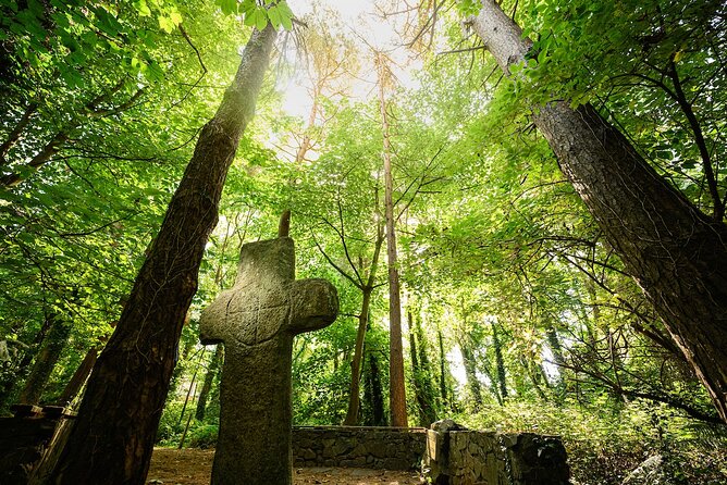 Courtown Woodland Guided Tour - Discovering County Wexford in the Forest