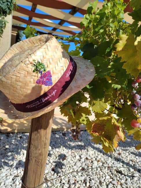 Covilhã: Acrylic painting workshop with wine tasting - Discover the Setting at Tranca da Barriga in Covilhã