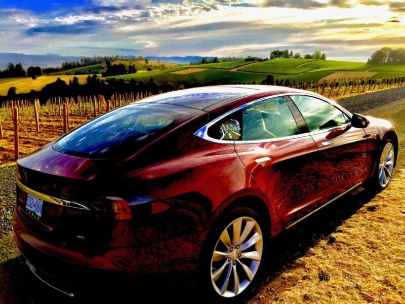 Cowichan Valley Premium Wine Tour - Explore the Cowichan Valley in Sustainable Luxury