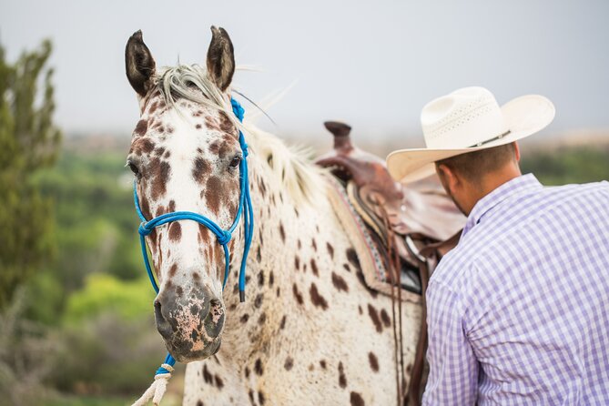 Cowpoke Ride: Adventurous horseback tour just 9 MILES from Sedona - The Sum Up: A Relaxing and Scenic Horseback Ride Near Sedona