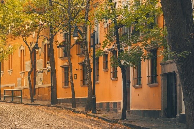 Coyoacán and Xochimilco Private Tour - Weather and Cancellation Flexibility