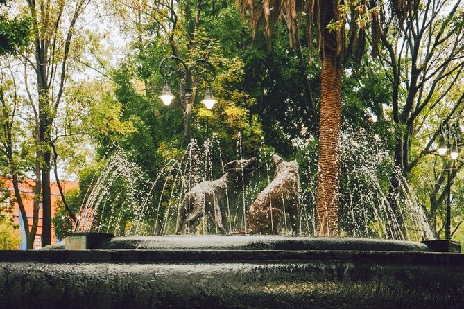 Coyoacán and Xochimilco Private Tour - Who Will Appreciate This Tour Most