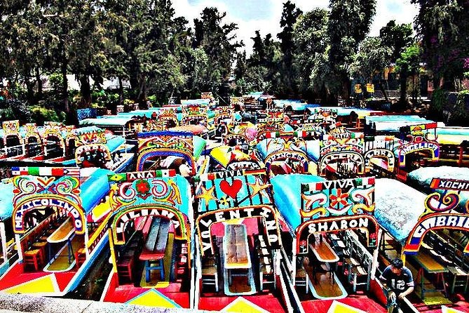 Coyoacan and Xochimilco Tour - The Trajinera Experience and What to Expect