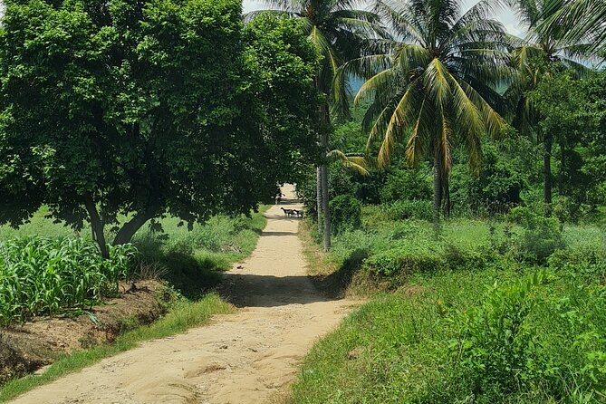Cozoaltepec: Church of 20th century w/ Gavilan Mountain Tour - Exploring San Francisco Cozoaltepec, the Cradle of Zapotec Culture