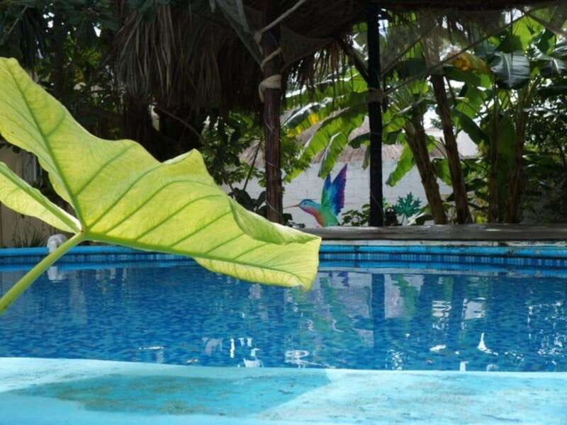 Cozumel: 10 Day 200-Hour Kundalini Yoga Teacher Training - Frequently Asked Questions