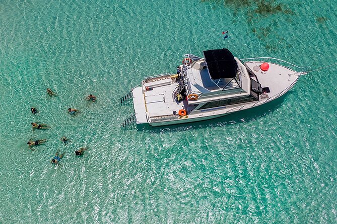 Cozumel 3 Reefs Snorkel - Physical Requirements and Participant Considerations