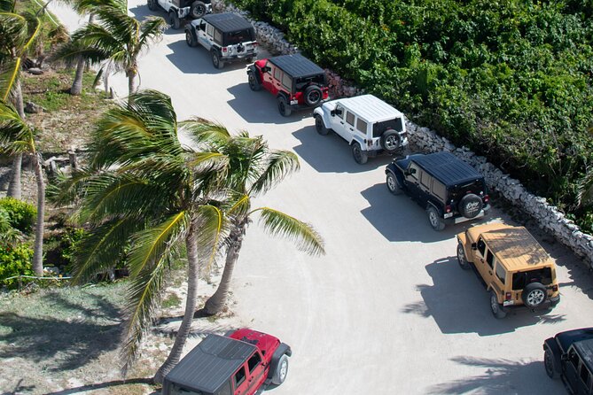 Cozumel 4x4 Adventure Punta Sur and Virgin Beach All Inclusive - Timing, Pacing, and Physical Considerations