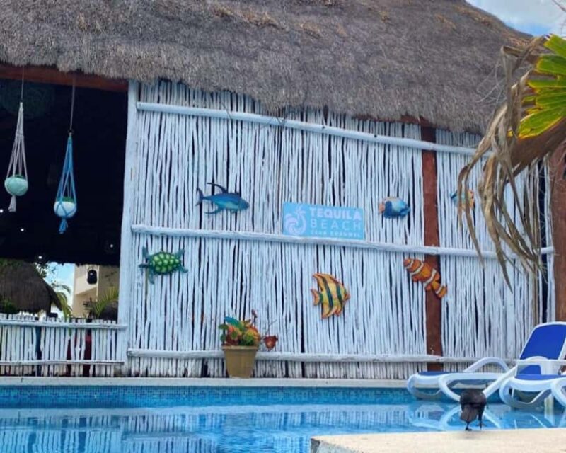 Cozumel: All-Inclusive Beach Club Day Pass with Open Bar - Water Activities: Kayaking, Paddleboarding, and Snorkeling Gear