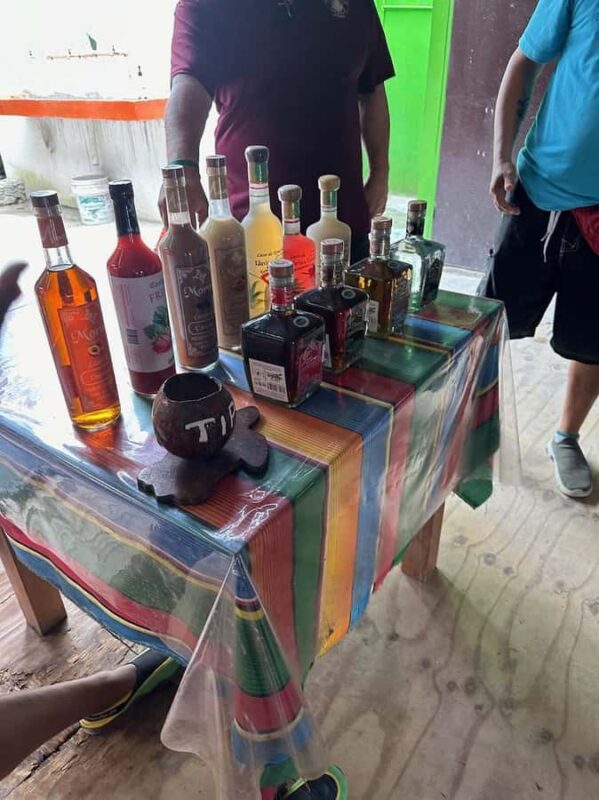 Cozumel: ATV expedition to the Jade cavern and snorkeling - Logistics and Accessibility