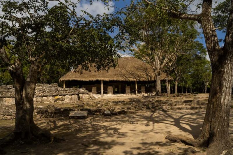 Cozumel: Buggy Adventure, Ruins, Tequila Tasting & Beach Fun - Relaxing at Playa Uvas with Snorkeling and Lunch