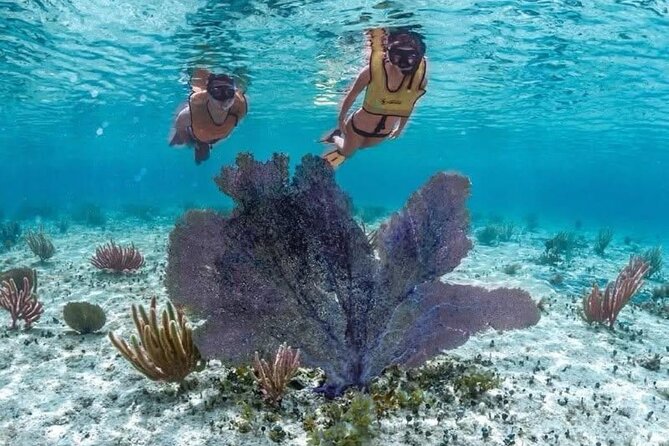 Cozumel Buggy Scape : Reef Snorkeling & Beach Club Fun - Free Relaxation at Punta Morena Beach Club