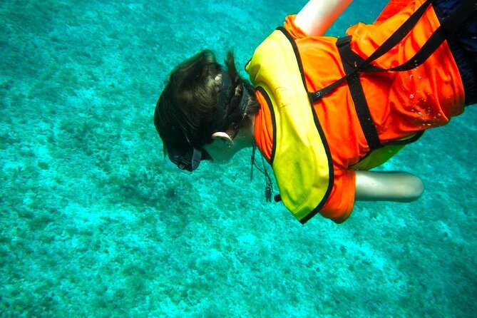 Cozumel Buggy Tour: Snorkeling , Otoch Mayan Experience & Lunch - Snorkeling at Arrecifes de Cozumel National Park
