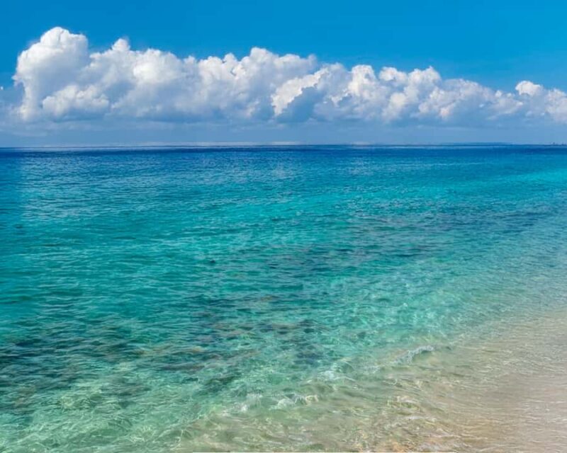 Cozumel: Buggy Tour with Tacos, Tequila, and Beach - Tequila and Mexican Chocolate Tasting with a Local Expert