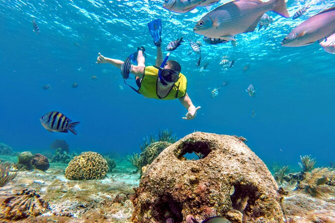 Cozumel by transparent boat and snorkeling in the sky with lunch. - Starting Point and Logistics in Cancun