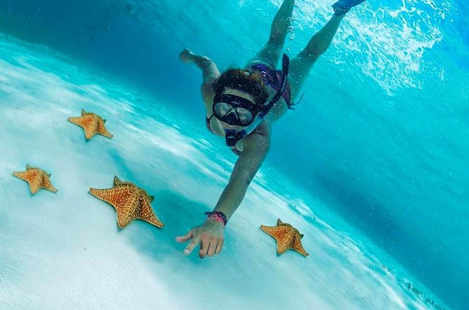 Cozumel by transparent boat and snorkeling in the sky with lunch. - Snorkeling at Lego Reefs: A Short but Sweet Experience