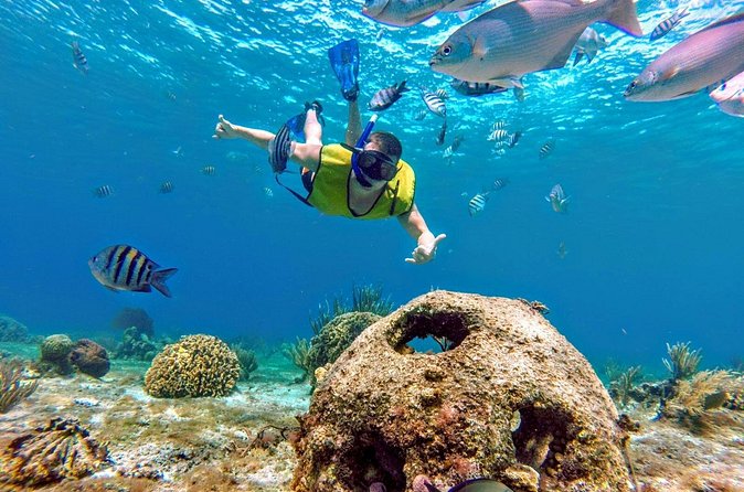Cozumel by transparent boat and snorkeling in the sky with lunch. - Transparent Boat Ride Along the Lego Reef