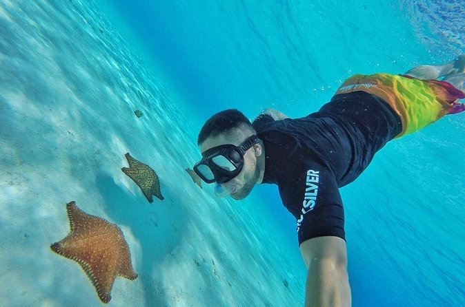 Cozumel by transparent boat and snorkeling in the sky with lunch. - Sky Tour at Cielo Beach: Scenic Views and Marine Exploration