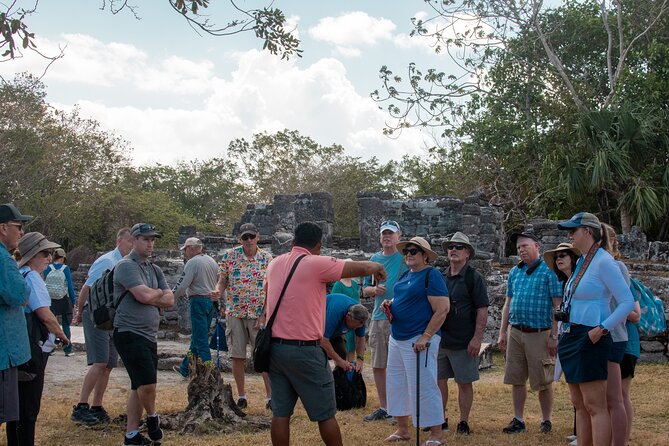 Cozumel Caravan Tour San Gervasio Ruins Beach Club and Mayan Park - San Gervasio Mayan Ruins: The Heart of the Tour
