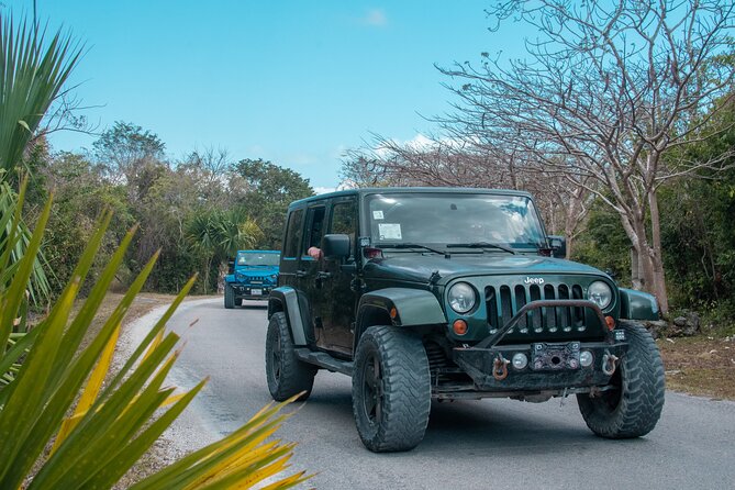 Cozumel Caravan Tour San Gervasio Ruins Beach Club and Mayan Park - Scenic Drive and Iconic Photo Stops