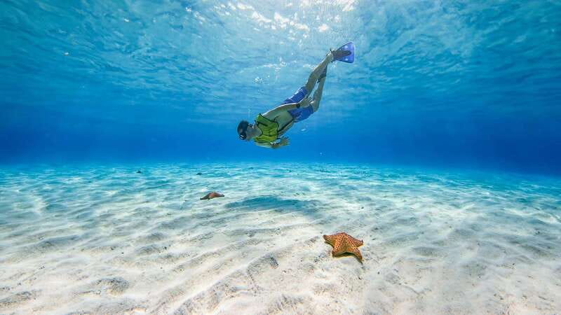 Cozumel: Catamaran, El Cielo Bay & Palancar Reef with Lunch - Cruising the Southern Coast in a Catamaran
