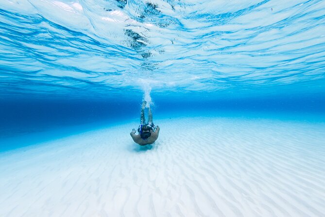 Cozumel Catamaran Snorkeling Tour & lunch® - Scenic Boat Ride Along Cozumel’s Coastline