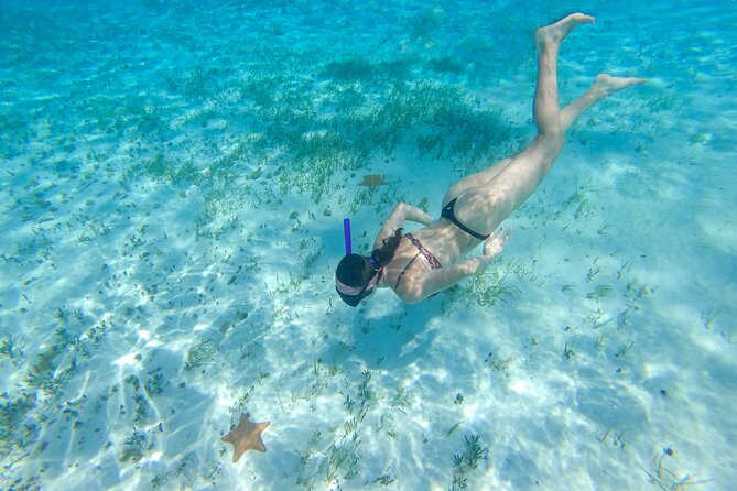 Cozumel Catamaran Snorkeling Tour & lunch® - Environmental and Health Precautions