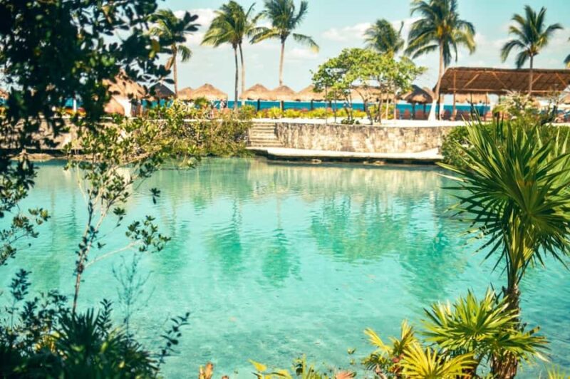 Cozumel: Chankanaab Park All-Inclusive Experience with Pool - Explore the Full Day of Fun at Chankanaab Park with an All-Inclusive Package