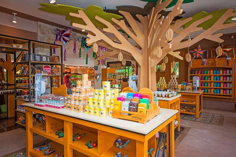 Cozumel: Chocolate Workshop at The Mayan Cacao Company - What Sets This Tour Apart from Other Chocolate Experiences