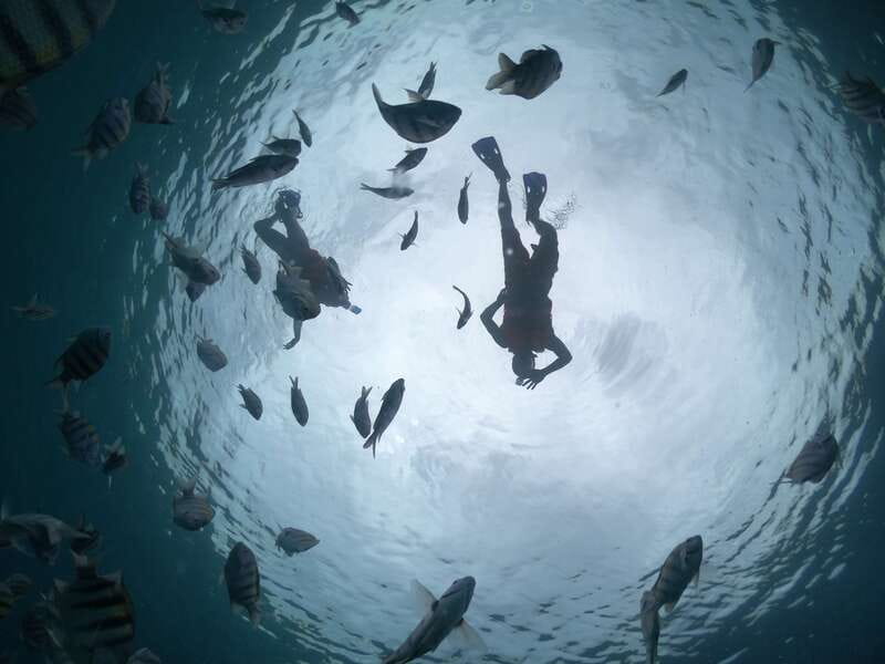 Cozumel: Clear Boat Ride and Snorkeling Trip - Drinks and Relaxation on Deck