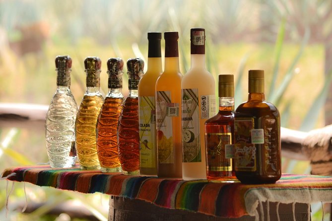 Cozumel Cultural Jeep Tour with Mayan Village and Mexican Lunch - Making Chocolate and Participating in Mayan Activities at Pueblo De Maíz