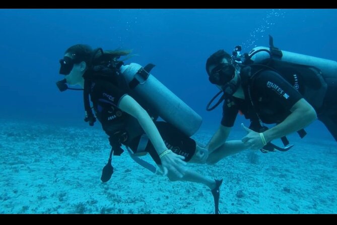 Cozumel: Discover Scuba Diving - Starting Point at the Marina Asipona in San Miguel de Cozumel