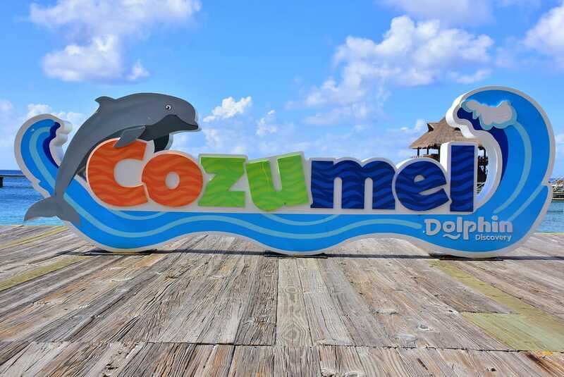 Cozumel: Dolphin Royal Swim and Manatee Interaction - Addressing Common Concerns from Reviews